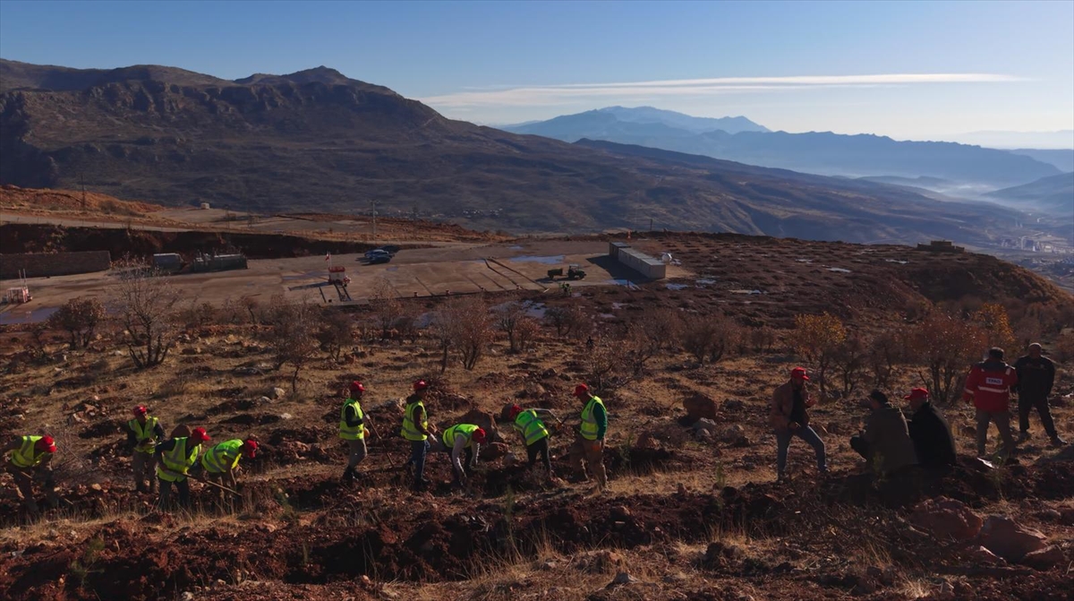 Enerji ve Tabii Kaynaklar Bakanlığı, Şırnak Gabar'da fidan dikim seferberliği başlattı Enerji ve Tabii Kaynaklar Bakanlığı, Şırnak Gabar'da fidan dikim seferberliği başlattı