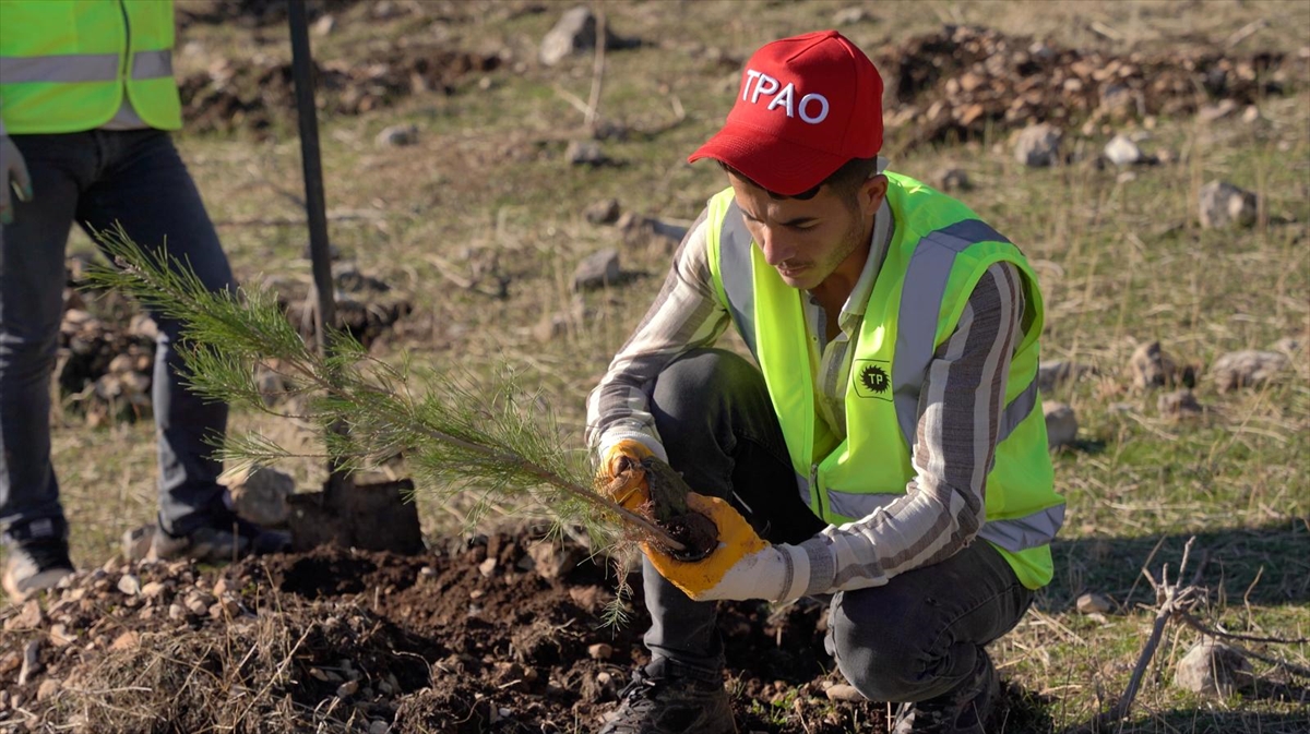 Enerji ve Tabii Kaynaklar Bakanlığı, Şırnak Gabar'da fidan dikim seferberliği başlattı Enerji ve Tabii Kaynaklar Bakanlığı, Şırnak Gabar'da fidan dikim seferberliği başlattı