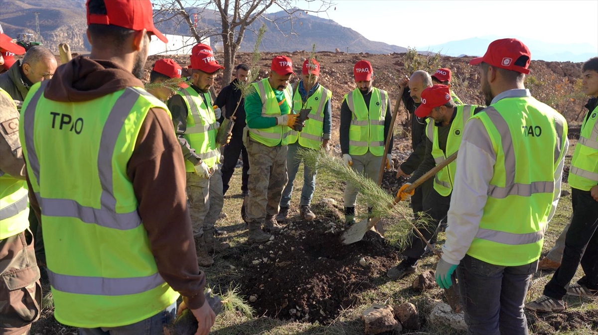Enerji ve Tabii Kaynaklar Bakanlığı, Şırnak Gabar'da fidan dikim seferberliği başlattı Enerji ve Tabii Kaynaklar Bakanlığı, Şırnak Gabar'da fidan dikim seferberliği başlattı