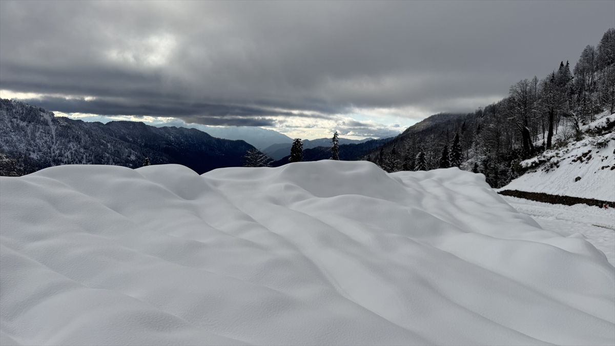 Türkiye’nin biyosfer rezervi alanı Camili Havzası beyaz örtü ile kaplandı