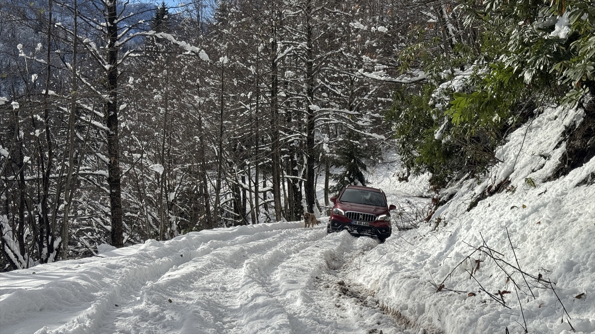 Türkiye’nin biyosfer rezervi alanı Camili Havzası beyaz örtü ile kaplandı