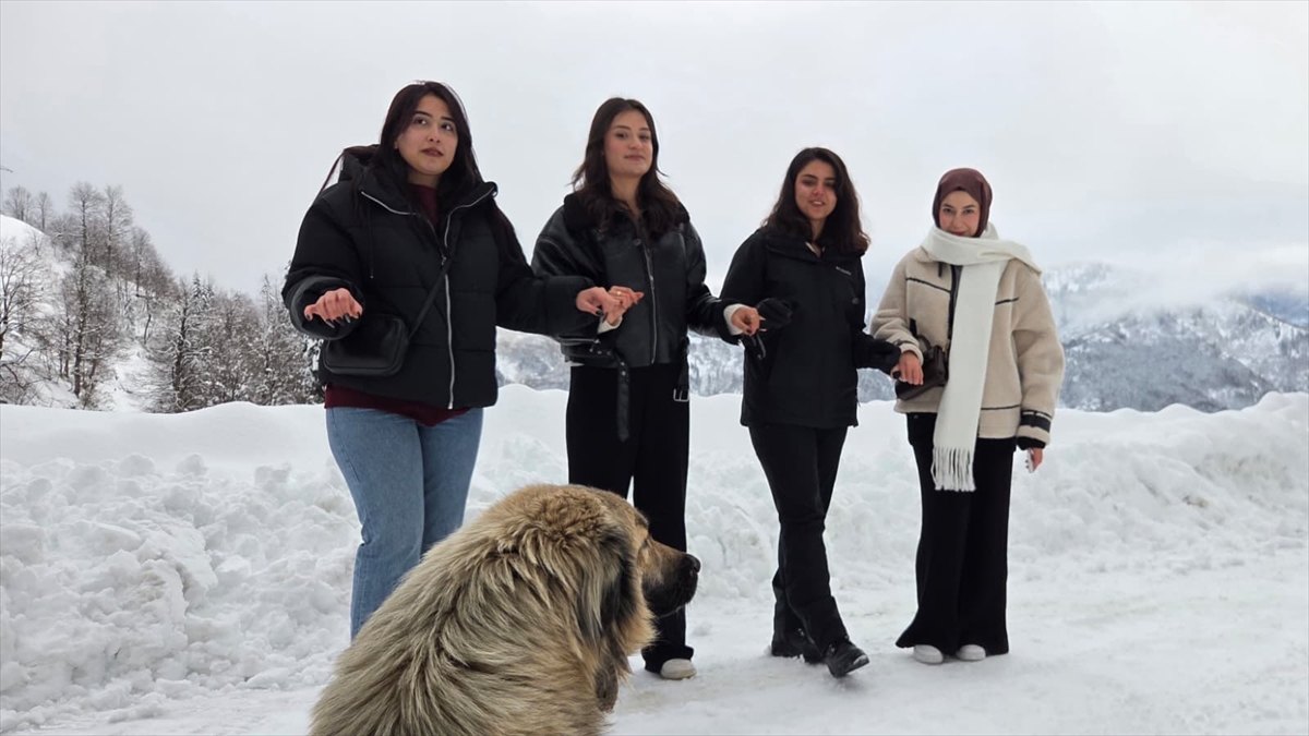 Türkiye’nin biyosfer rezervi alanı Camili Havzası beyaz örtü ile kaplandı